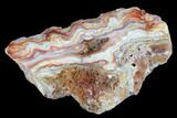 Polished Crazy Lace Agate Section - Mexico #129517-2